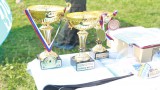 Кубок Рязанской области по подводному спорту 2017
