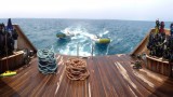 В октябре приглашаем на дайвинг сафари по Красному морю!!!